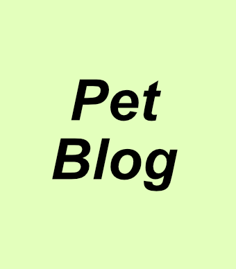 pet-blog