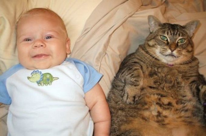 baby pets