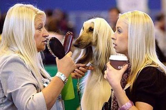 Hot Blonde with her dog