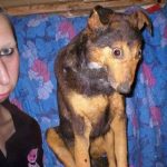 Sad girl and her dog
