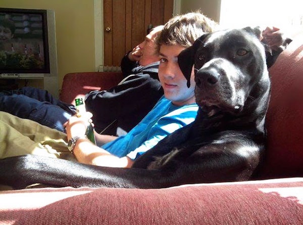 On sofa like his dog