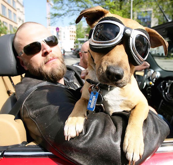 Riding with his dog